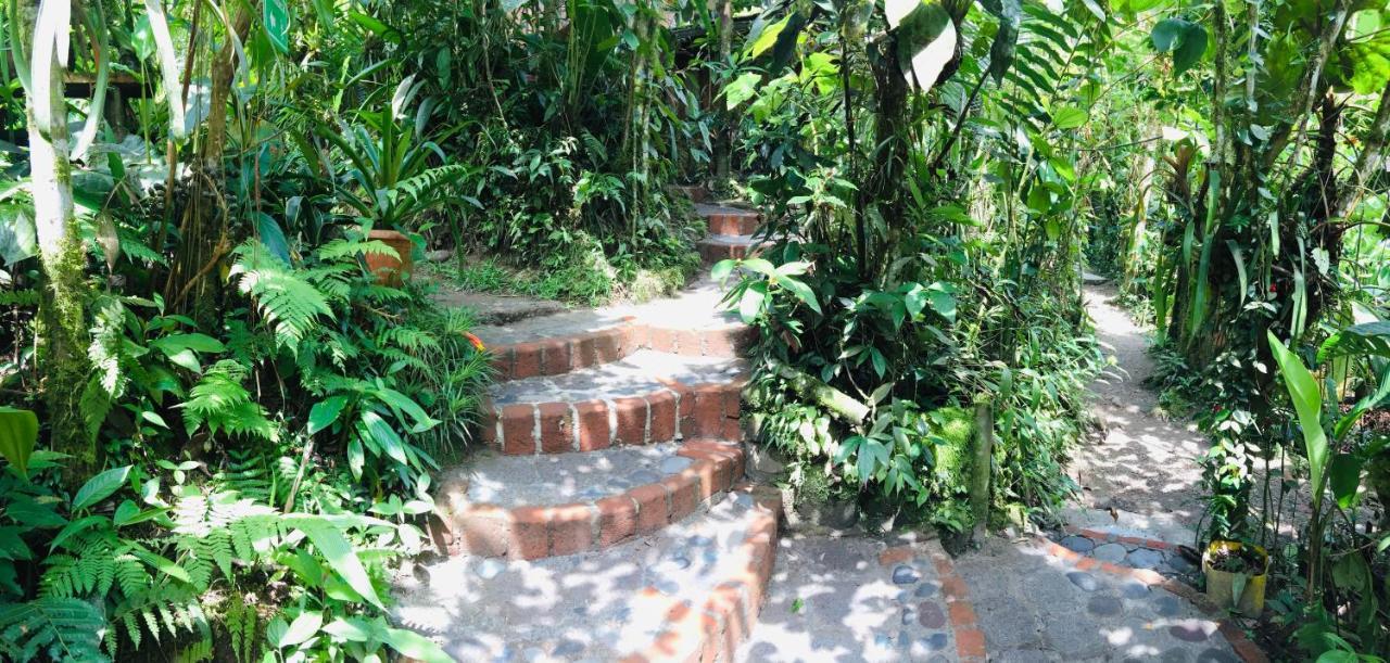 Cabanas Armonia Y Jardin De Orquideas Міндо Екстер'єр фото