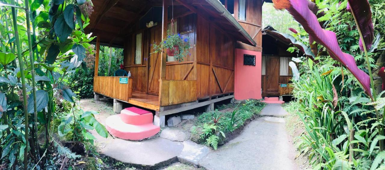Cabanas Armonia Y Jardin De Orquideas Міндо Екстер'єр фото