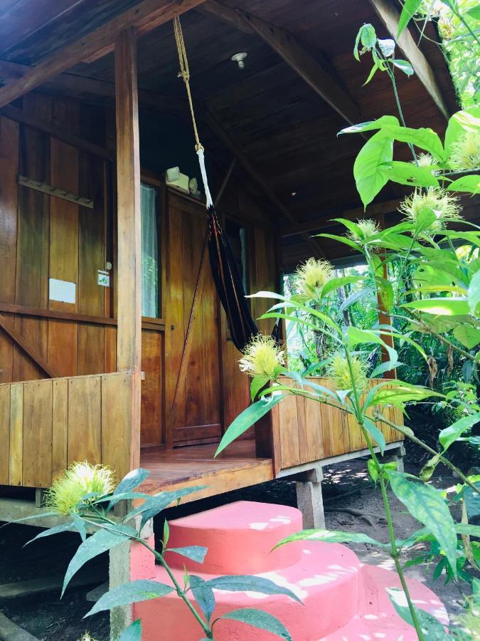 Cabanas Armonia Y Jardin De Orquideas Міндо Екстер'єр фото