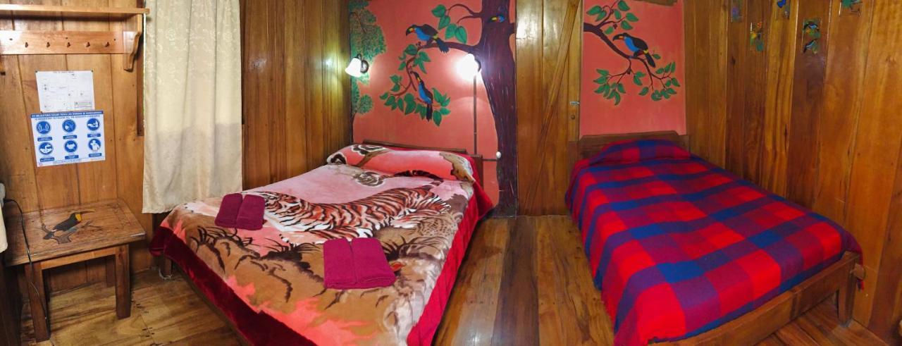 Cabanas Armonia Y Jardin De Orquideas Міндо Екстер'єр фото
