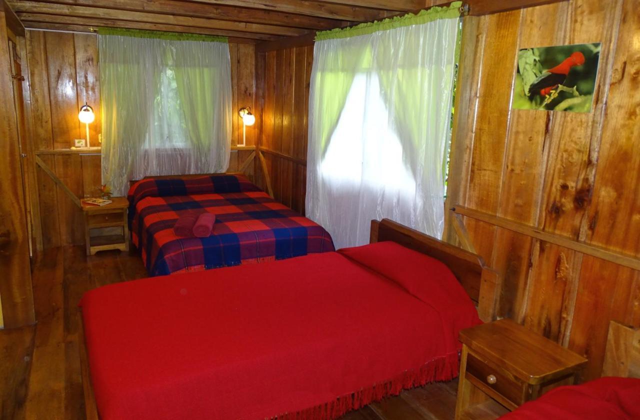 Cabanas Armonia Y Jardin De Orquideas Міндо Екстер'єр фото